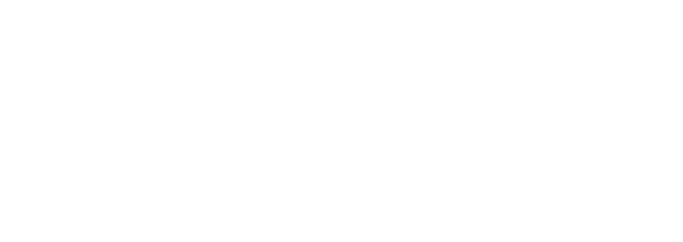 It's Like VR for drones but better
